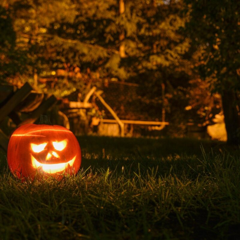 a carved pumpkin sitting on top of a lush green field